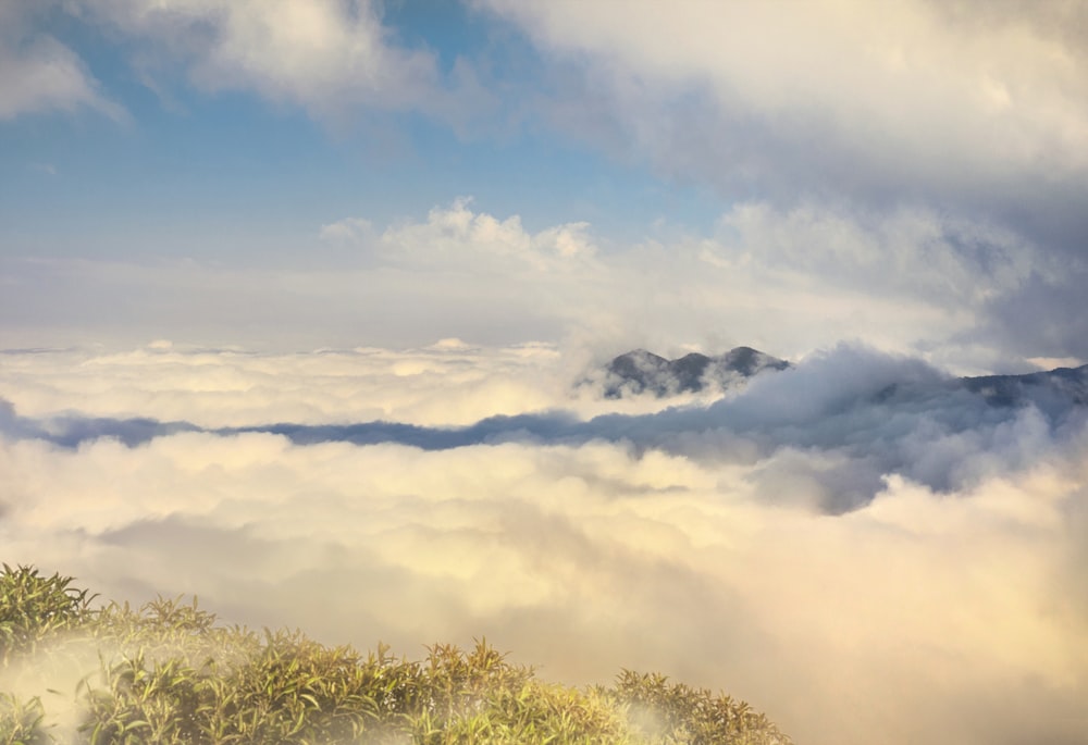 a view of a mountain covered in clouds