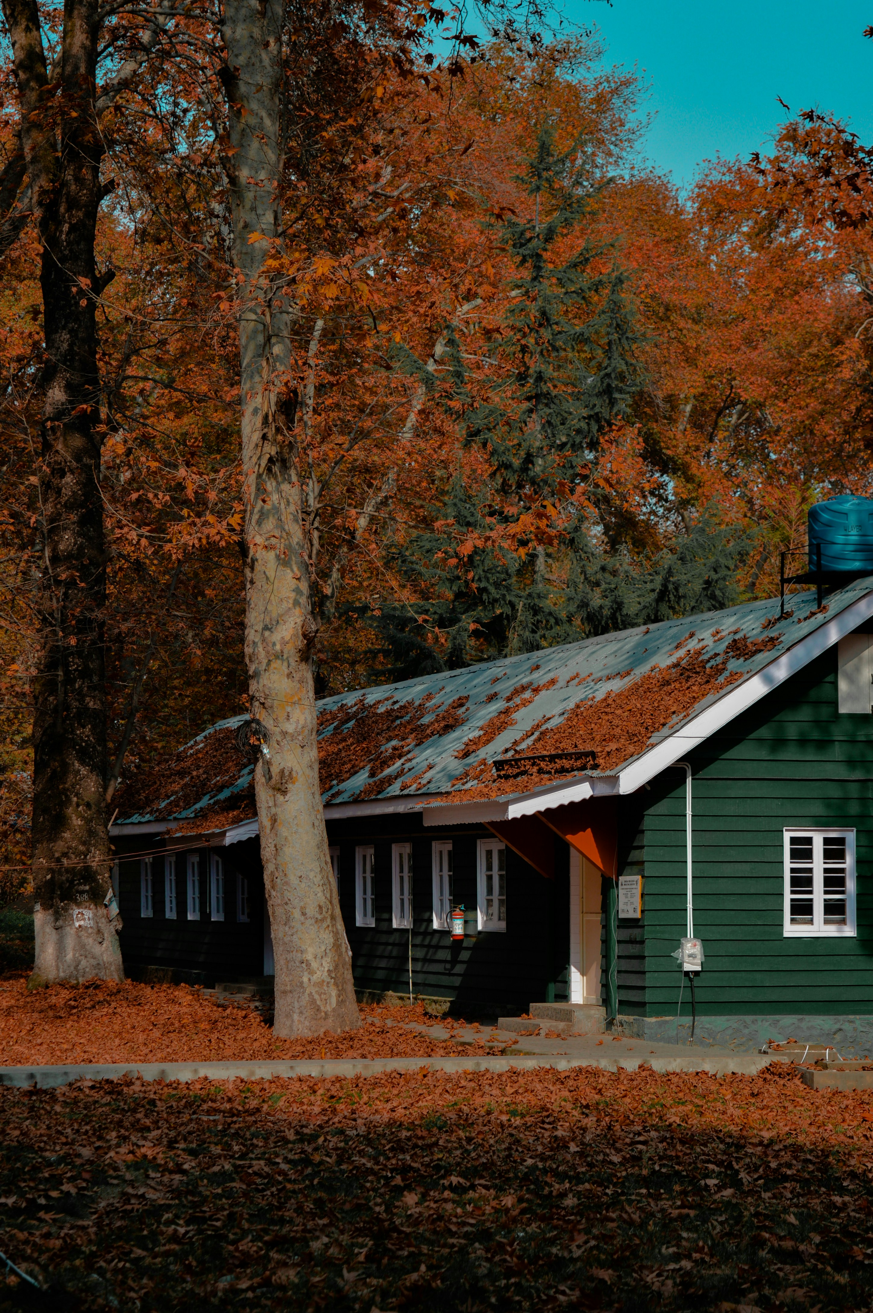 Photo by beighz_click