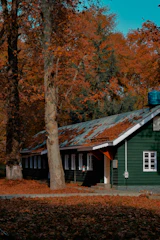 New siding installation on a cozy house with autumn leaves around.