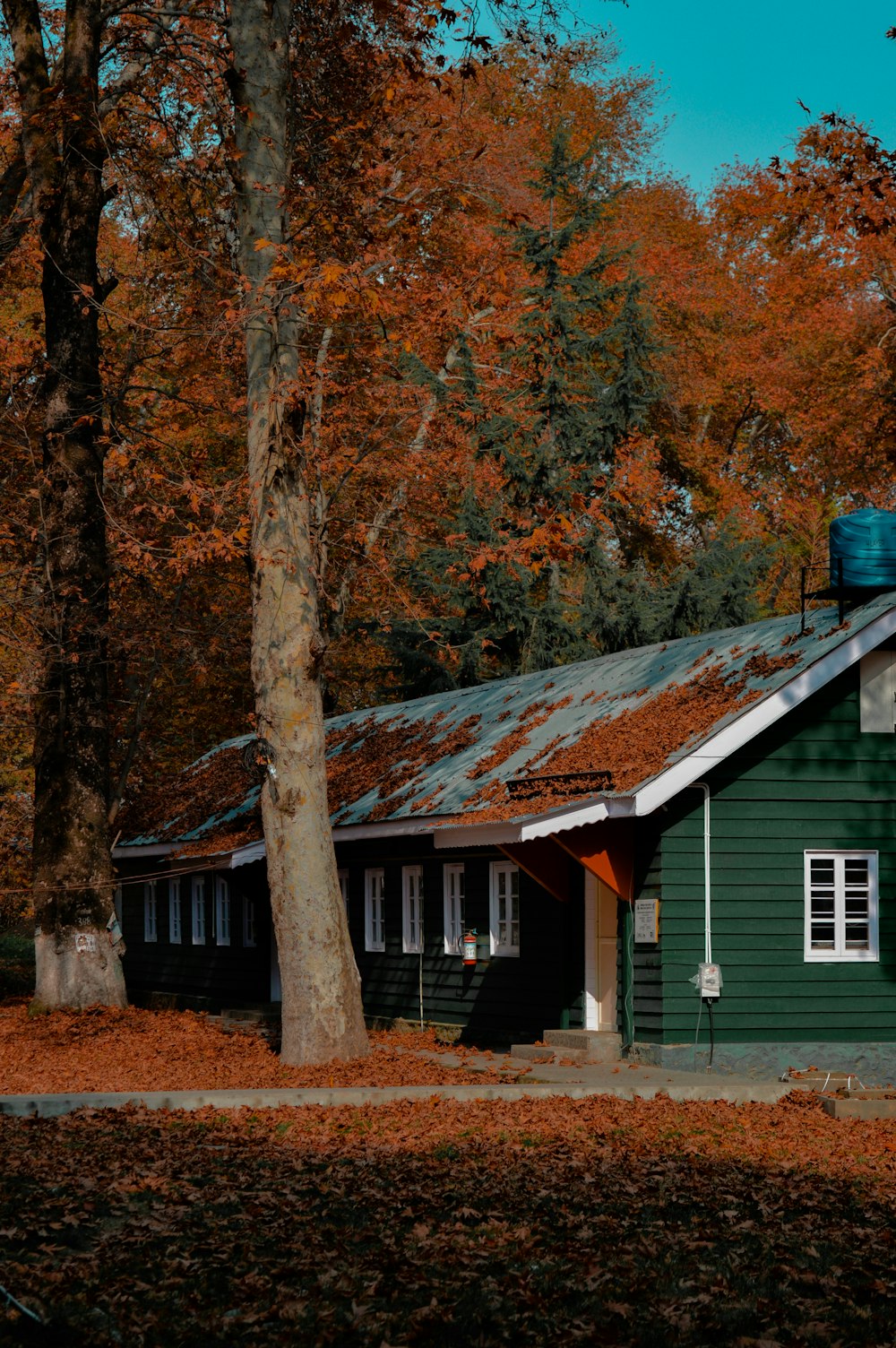 a green house with a rusted metal roof