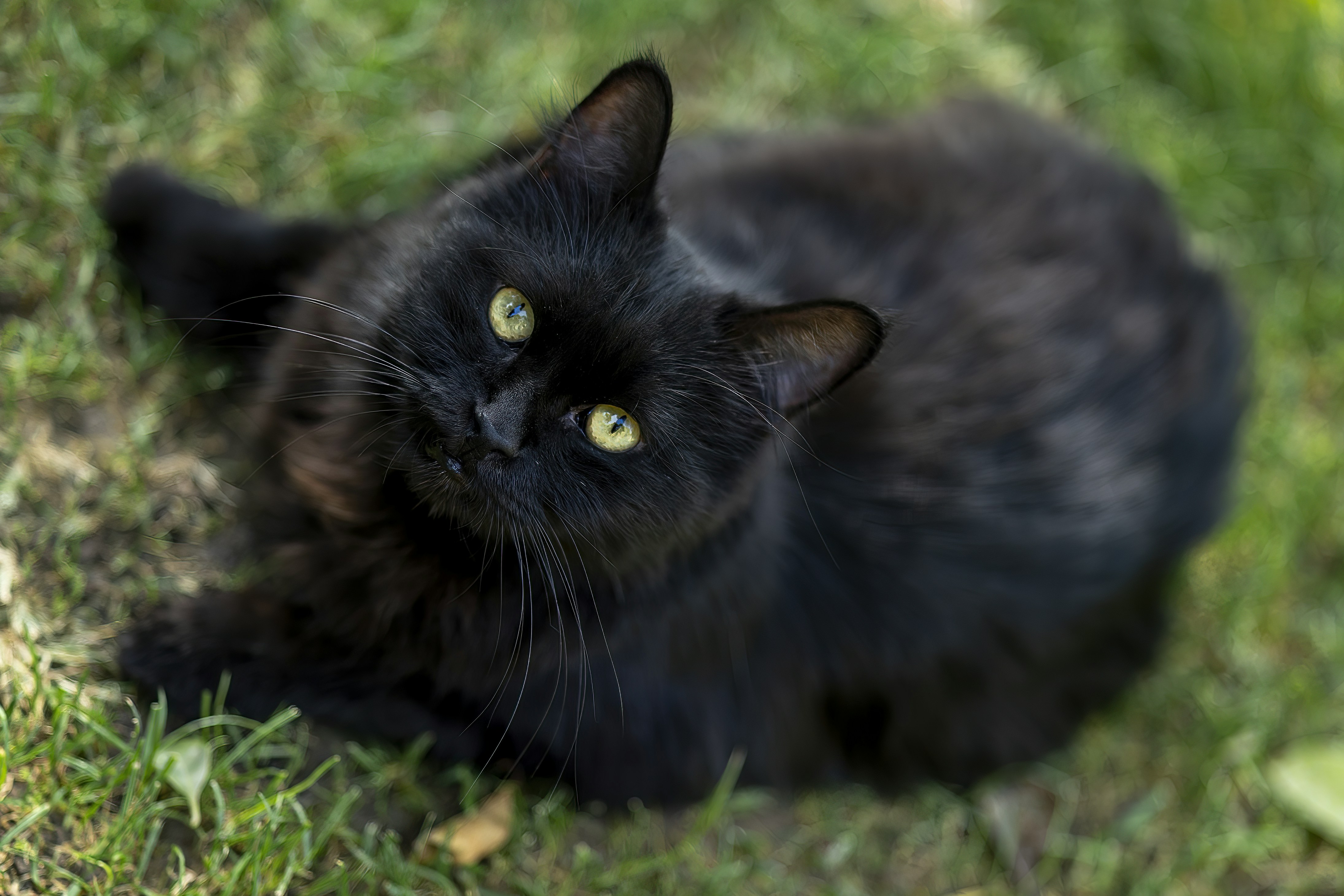 Photo by akbarnemati