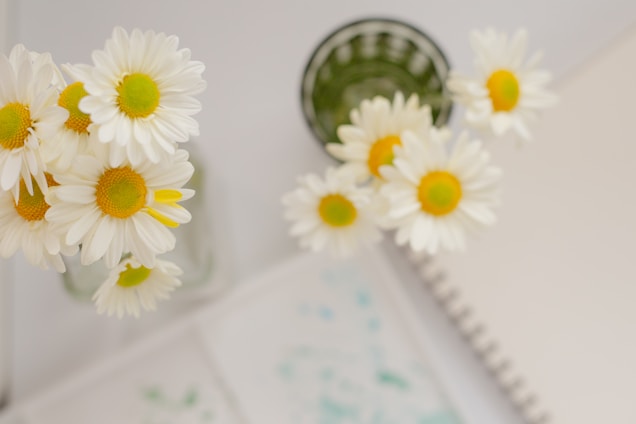 Soft pastel daisies arranged in a bright, airy art studio.
