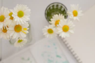 some daisies are in a vase on a desk