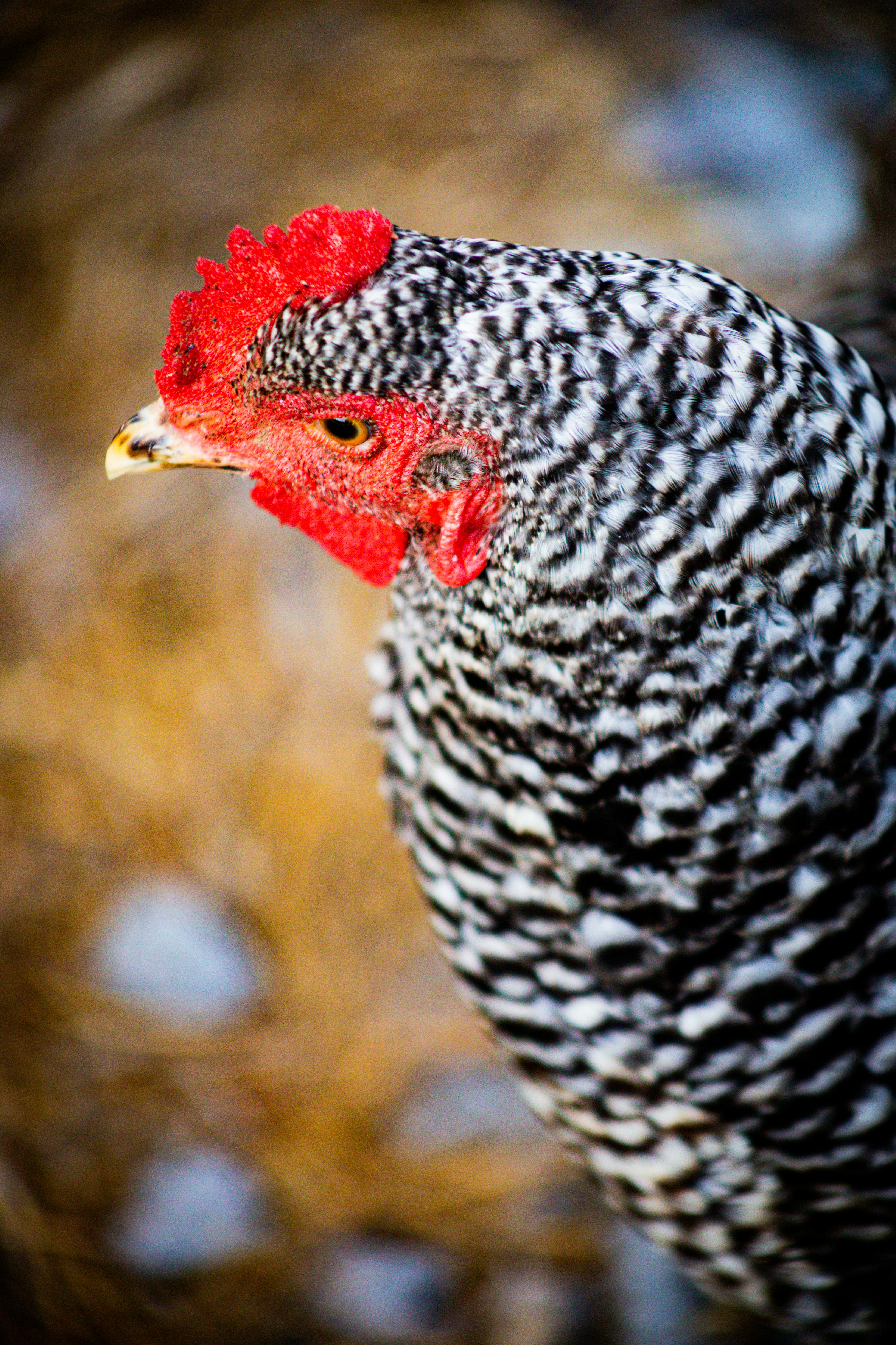 Photo by ikhanik_252