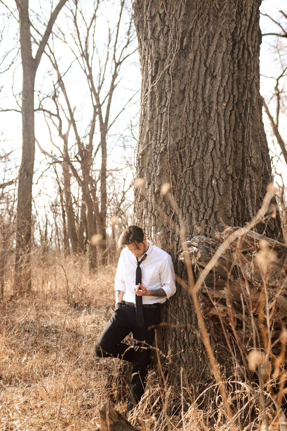 Un homme en cravate appuyé contre un arbre photo – Photo Des moines  Gratuite sur Unsplash