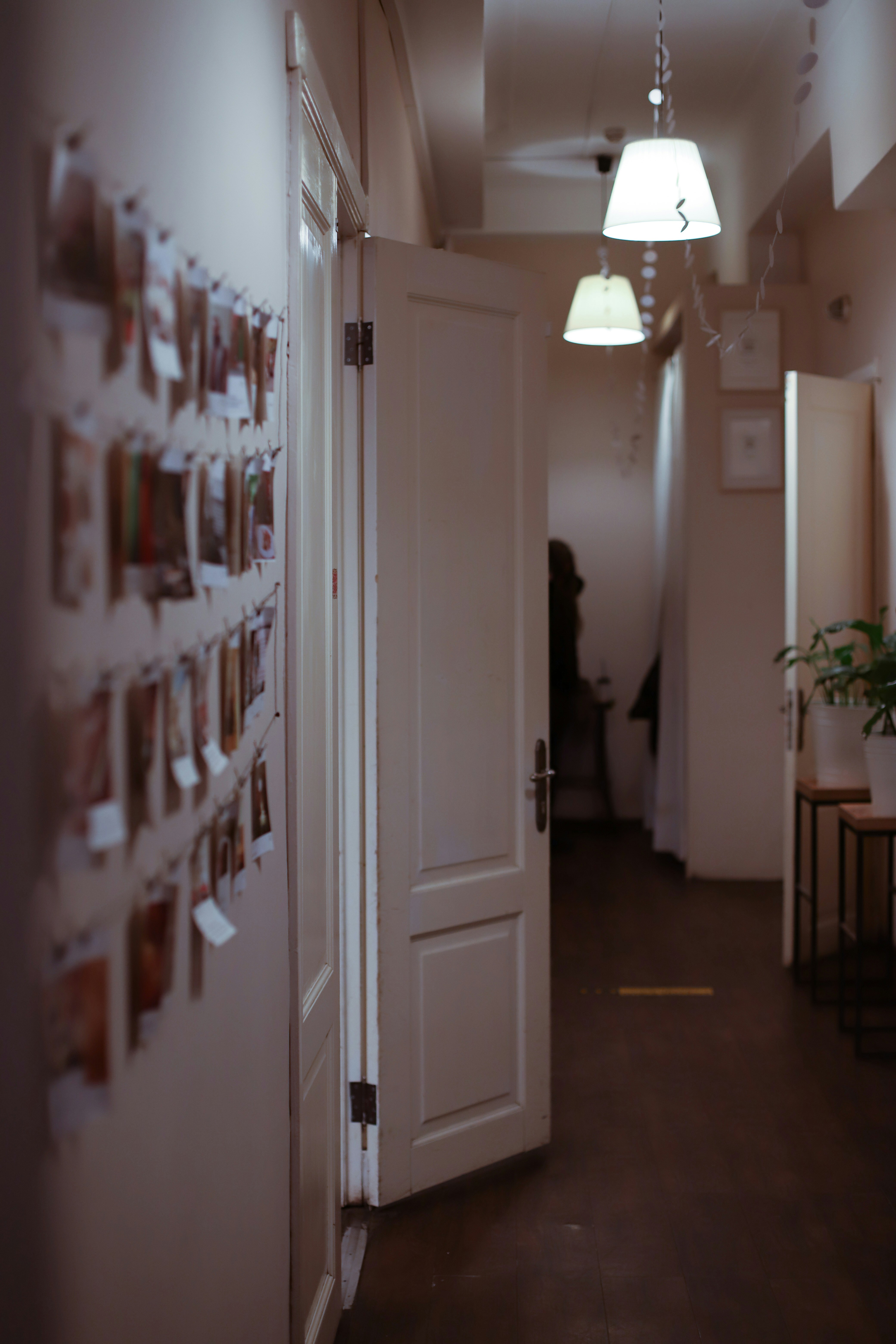 Photo by lapshinakseniia