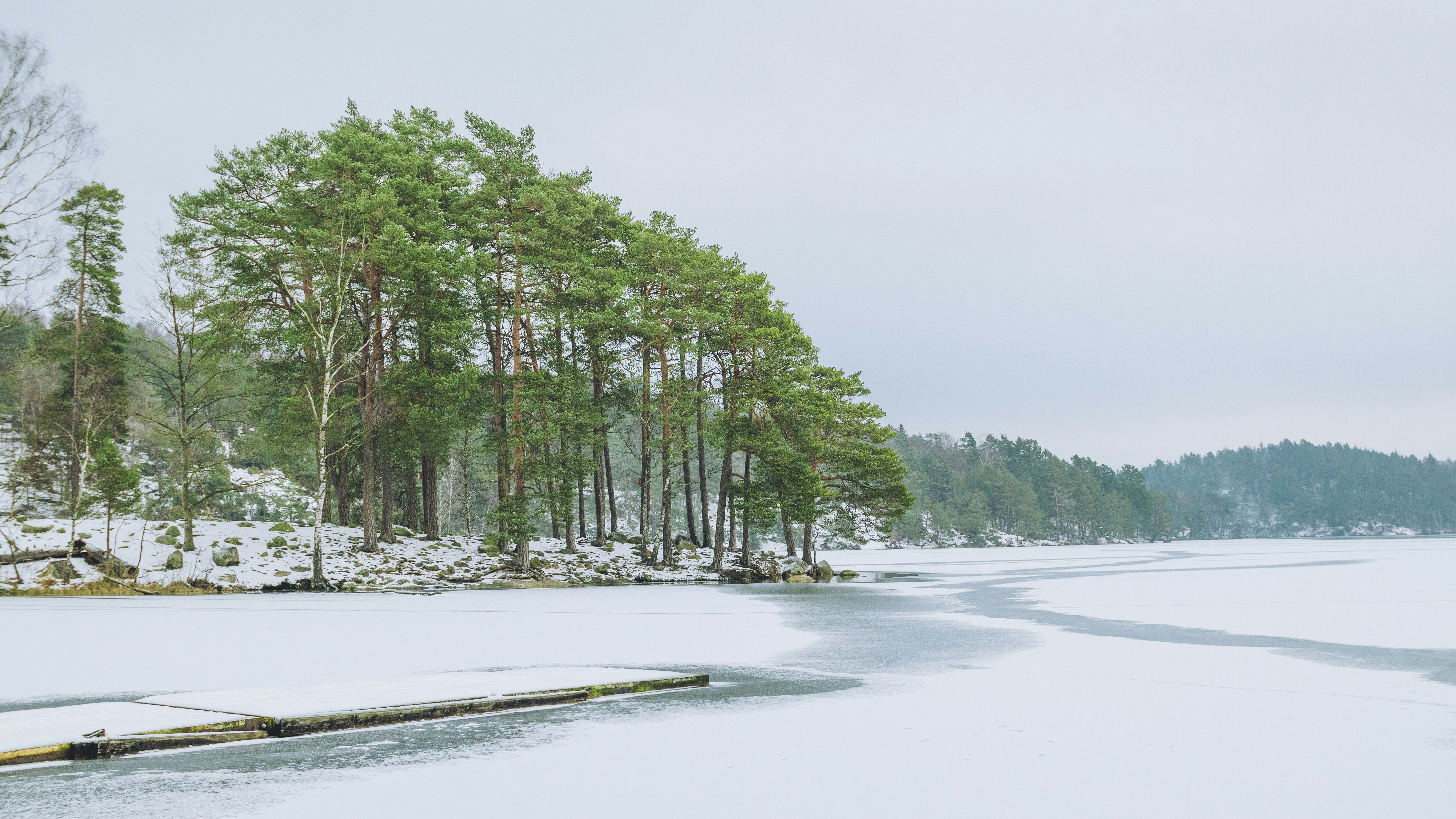 un plan d’eau entouré d’arbres enneigés