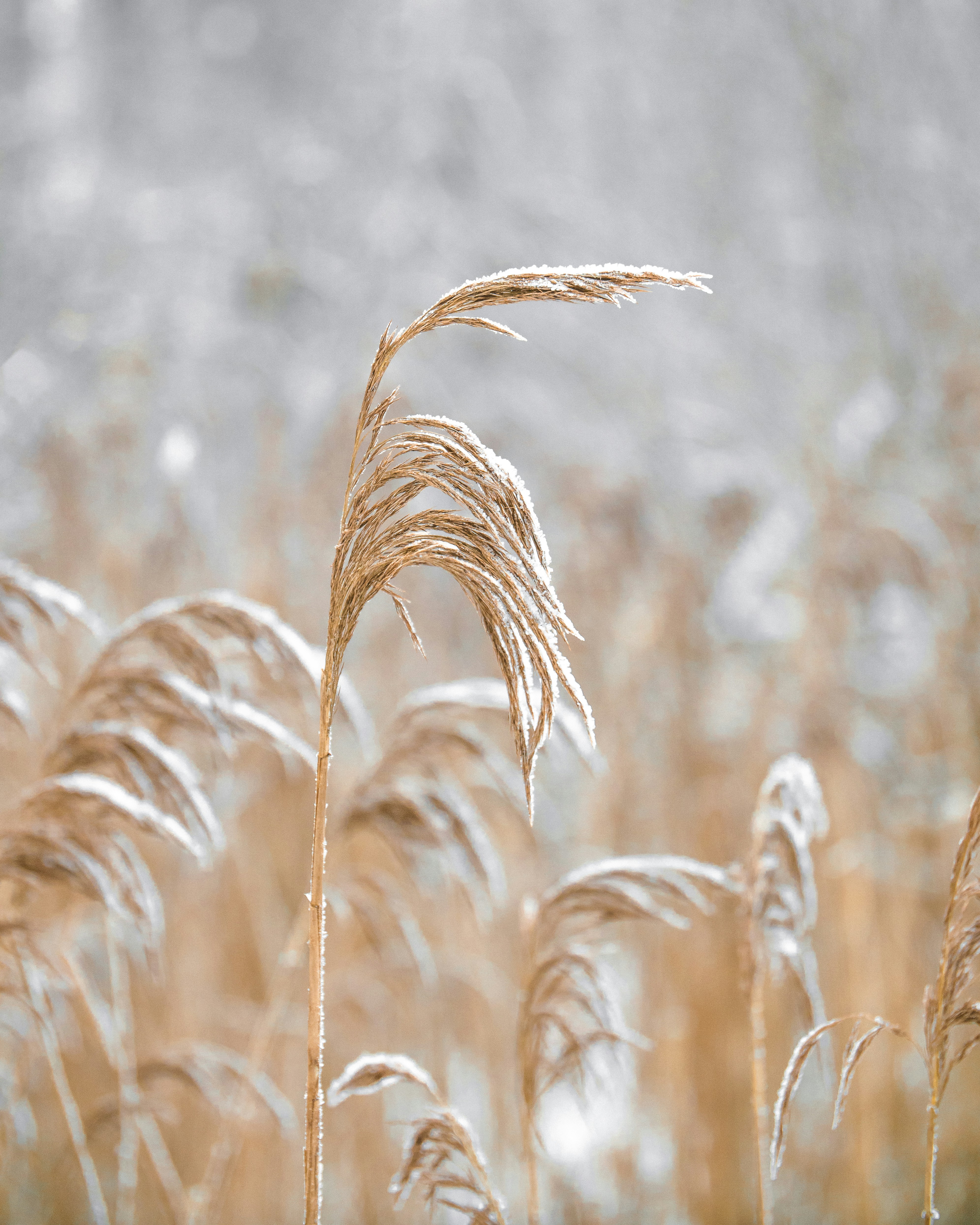 Photo by raedkasrawani