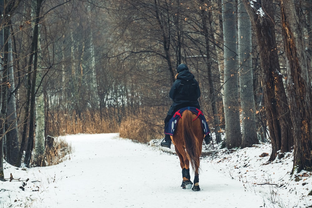 a person riding a horse through a snowy forest