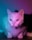 A cat with a white coat is illuminated by colorful lighting, creating a gradient of blue and pink hues on its fur. The cat is gazing intently forward, with its ears perked up and whiskers visible. The background is softly blurred, enhancing the focus on the cat.