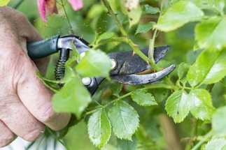 A friendly Freshbloom Lawn Service team member smiling while holding pruning shears in a sunlit garden.