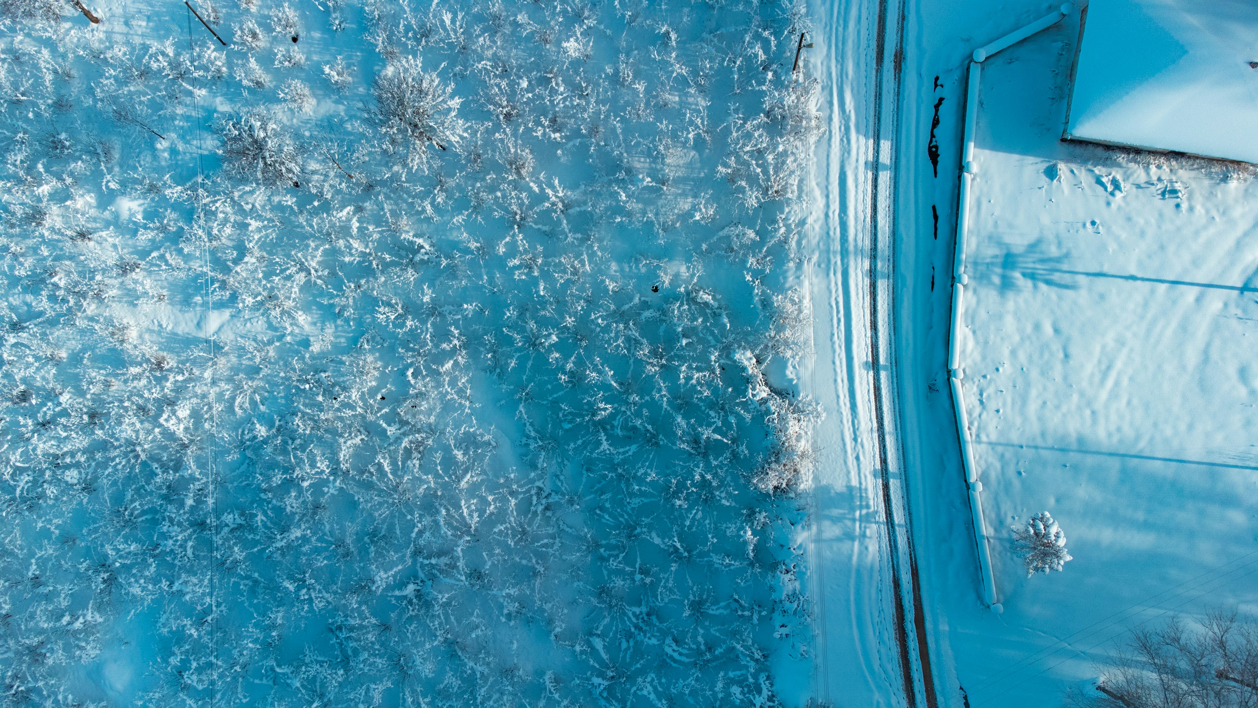 Photo by suleymancansezgi