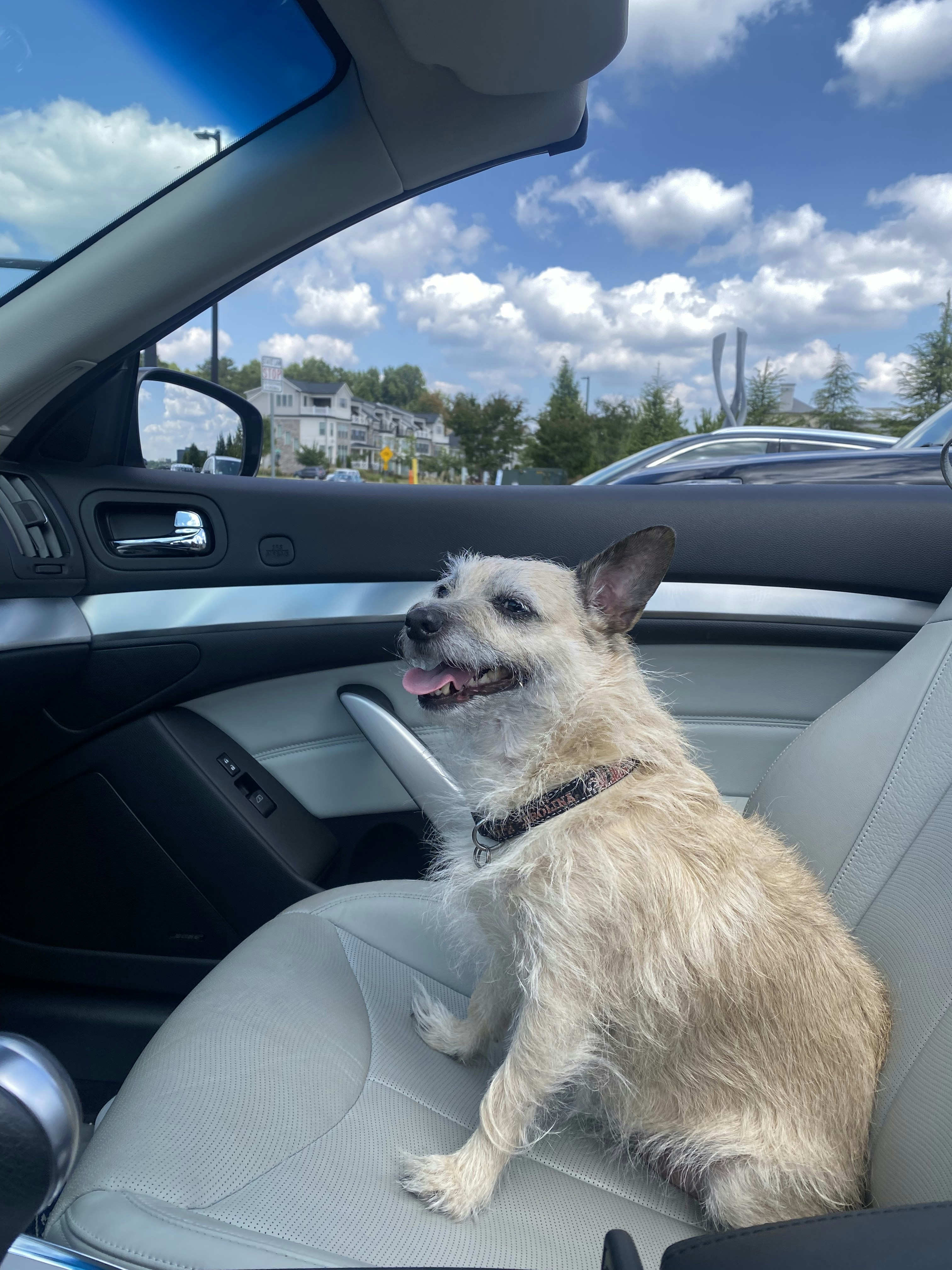 Agende seu transporte