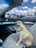 A happy border collie looking out from a car window during a ride.