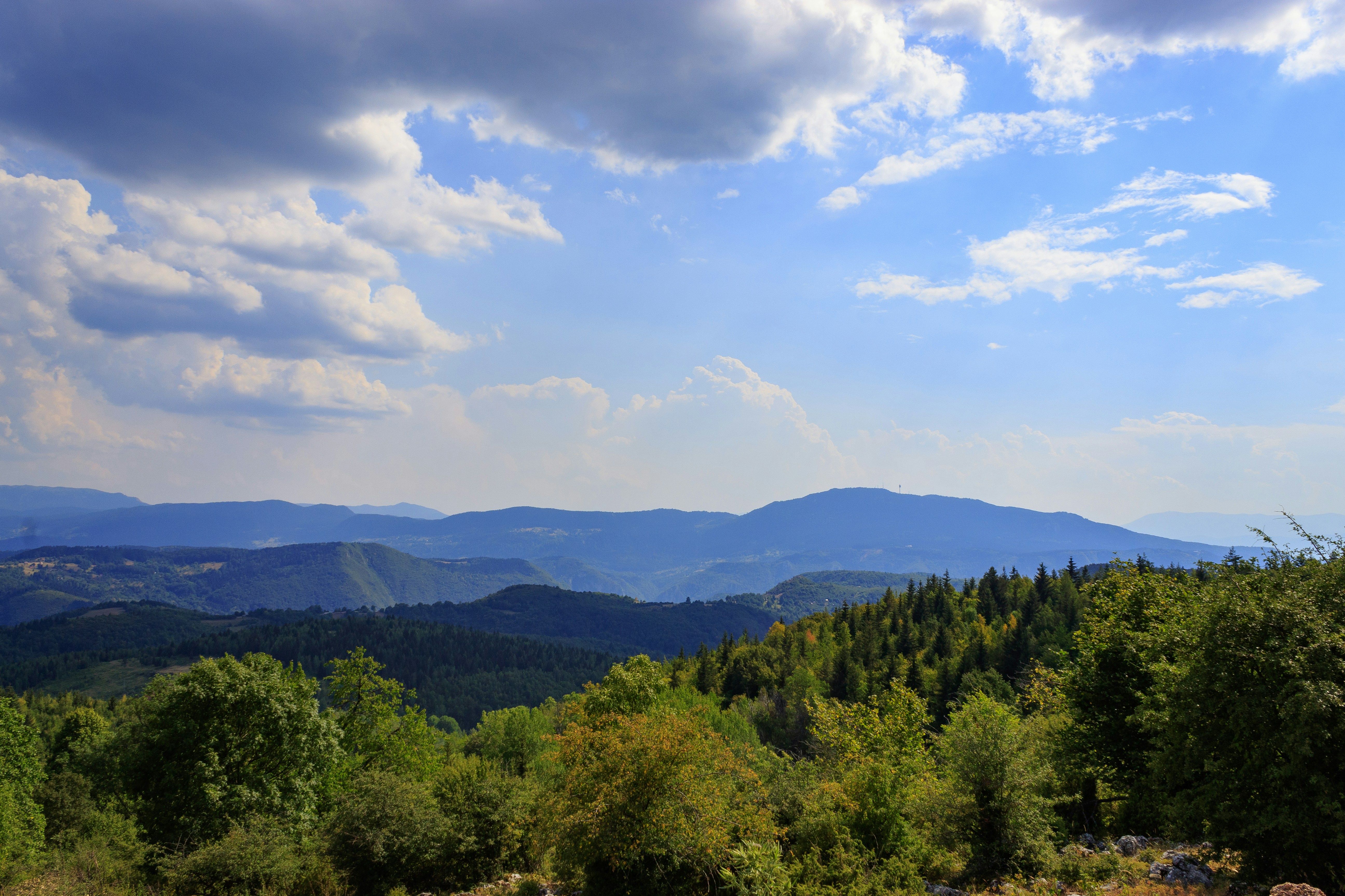 Photo by sporisevicphotography