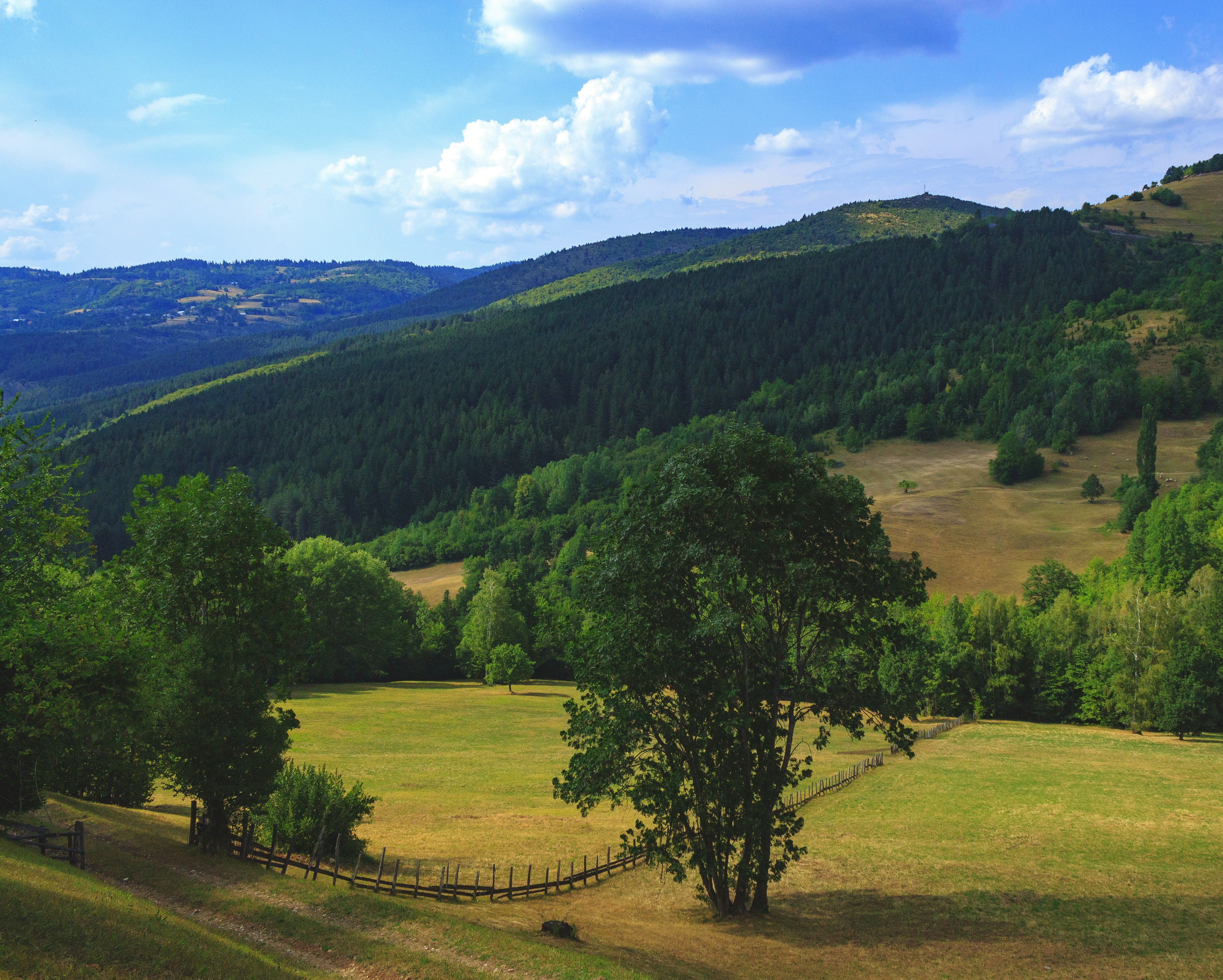 Photo by sporisevicphotography