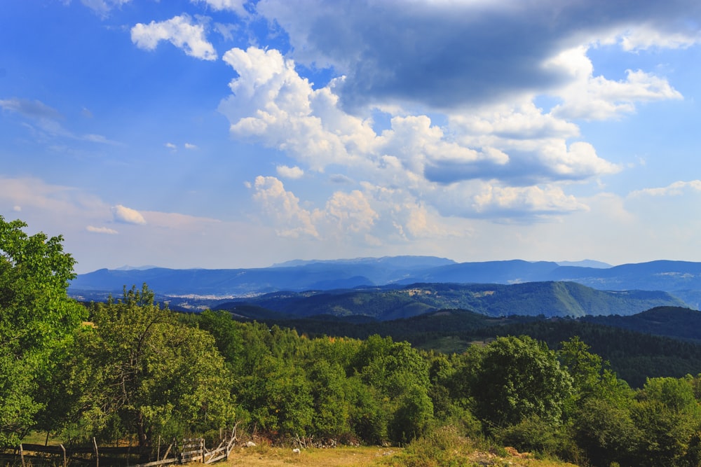 a scenic view of the mountains and trees