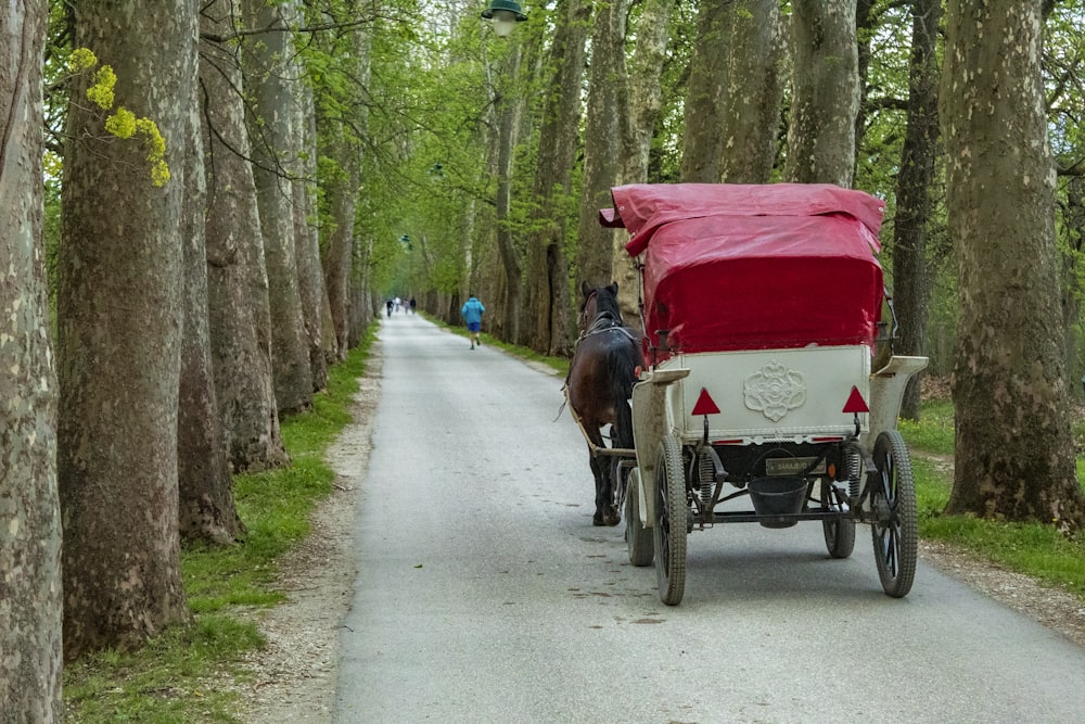 a horse pulling a carriage down a tree lined road