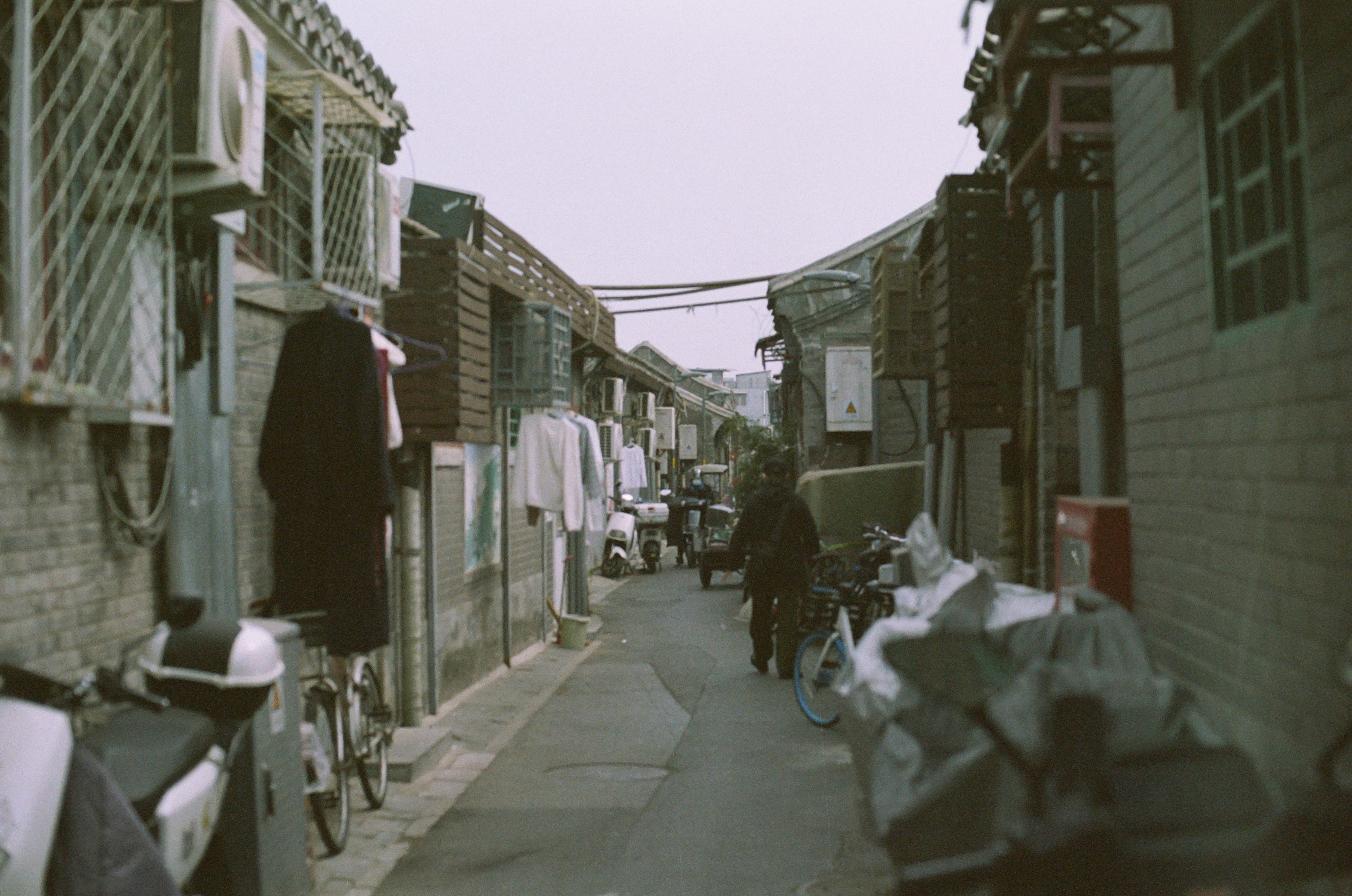 Photo by greedwolf97