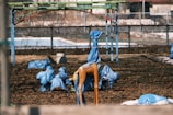A playground with equipment wrapped in blue tarps, with a fenced boundary in the background. The ground is covered with dry leaves, and there's a visible structure covered with the same material. The scene appears somewhat desolate, suggesting either closure or preparation for protection against weather conditions.