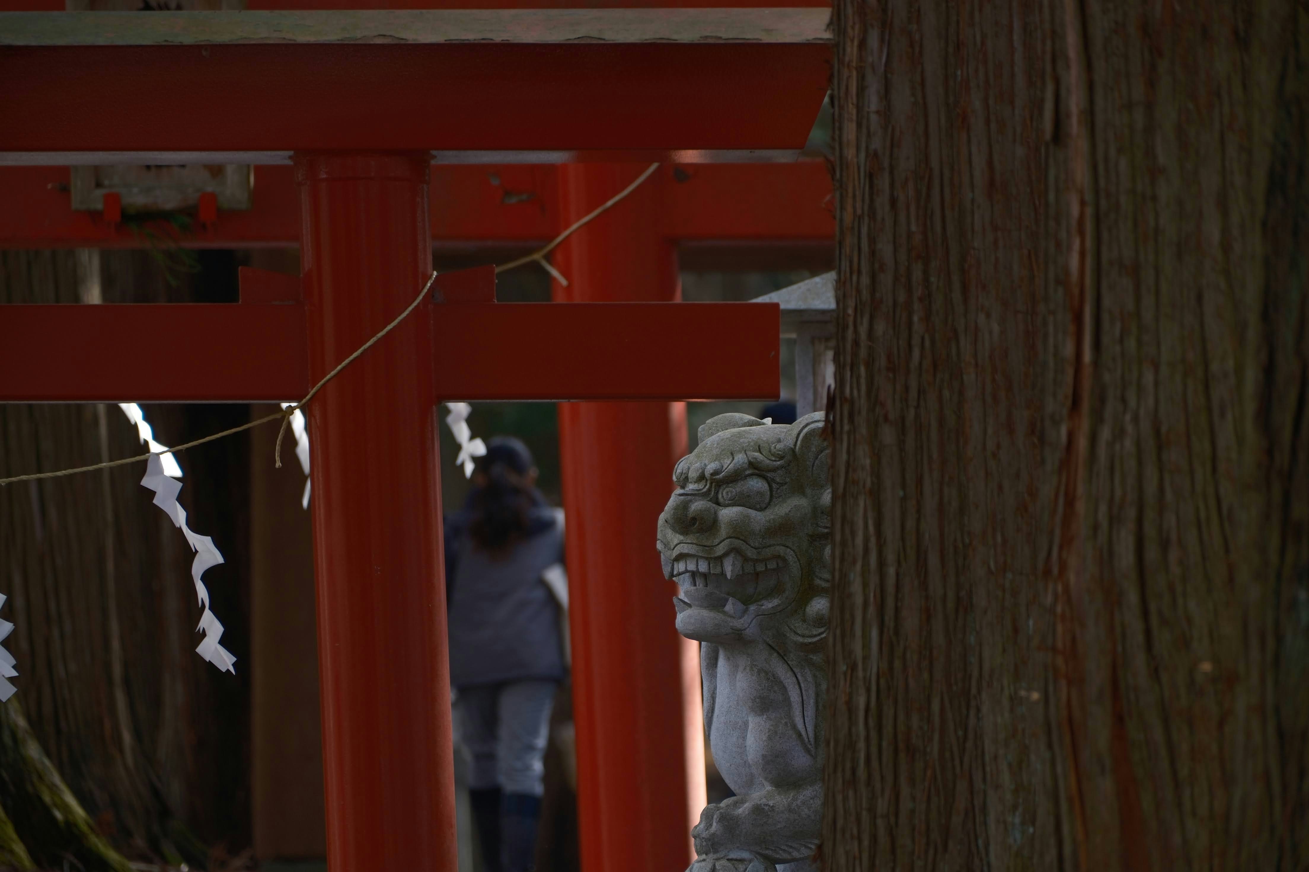 Photo by seiya_maeda