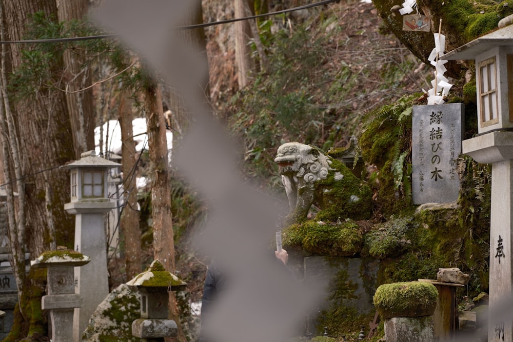 a cemetery with moss growing on the ground