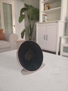A modern living room with a white cabinet holding several colorful books and a leafy green plant next to it. A gray sofa with an orange cushion is partially visible. A round, reflective object is placed on a white table in the foreground.