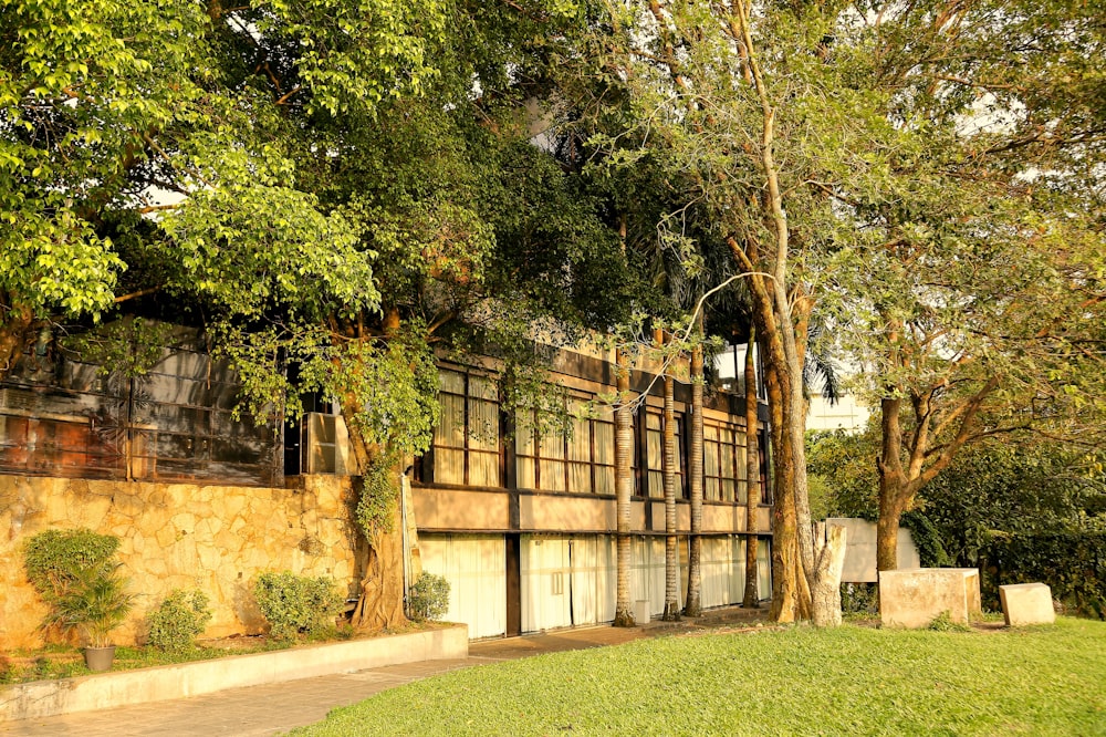 a building with a tree in front of it