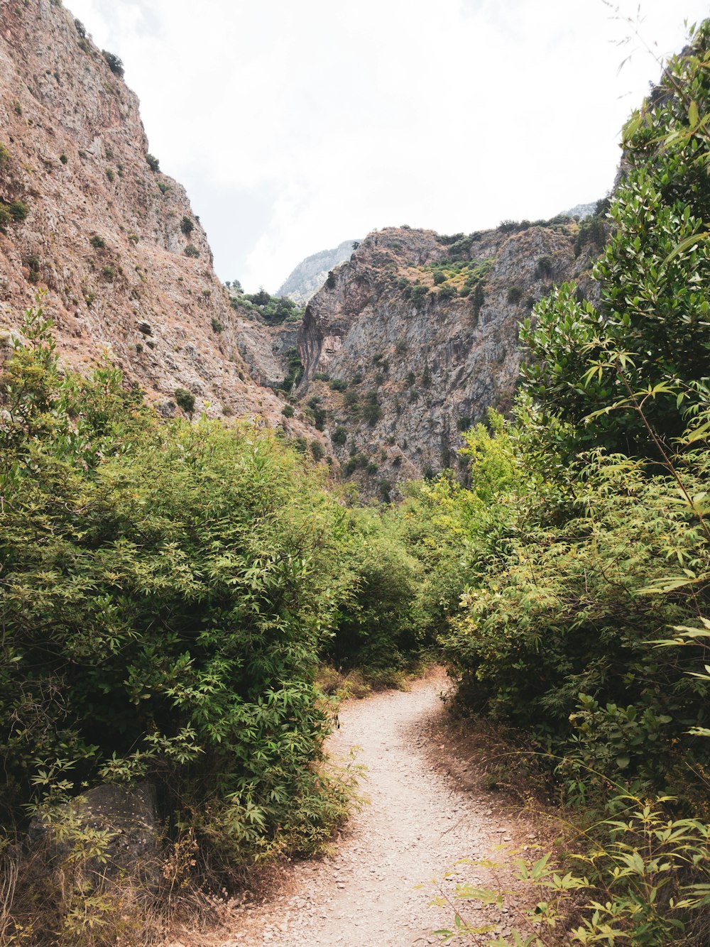 a dirt path surrounded by trees and mountains