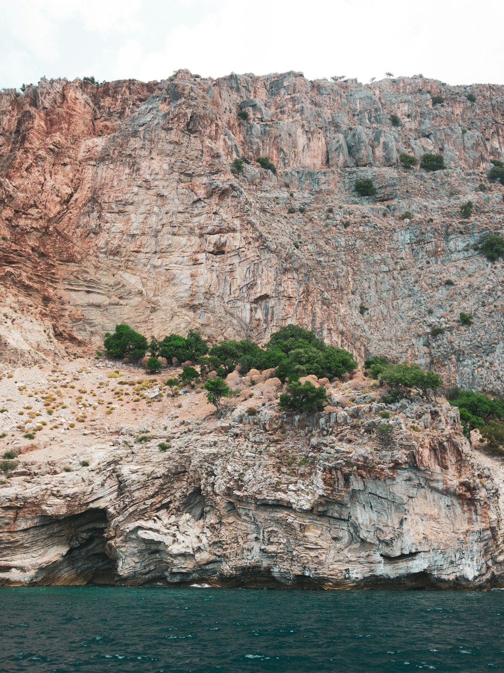 a rocky cliff with a tree growing on top of it