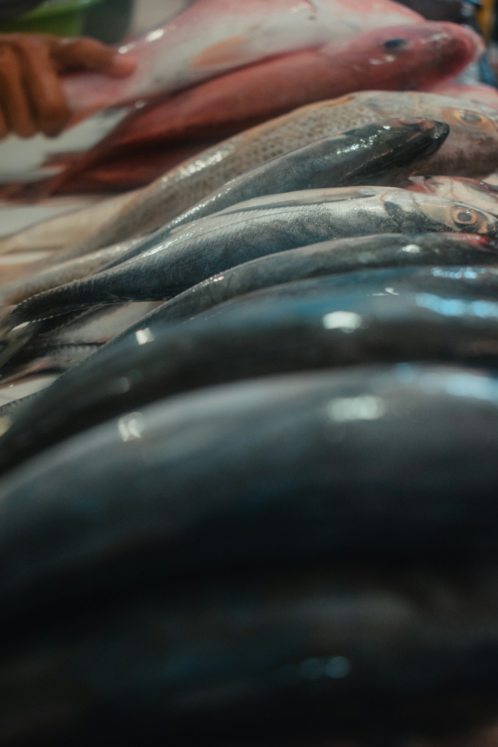 a bunch of fish that are on a table