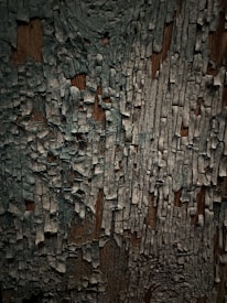 The image displays a close-up view of a wooden surface with old, peeling, and weathered paint. The paint is cracked and fragmented, exposing the wood grain underneath, suggesting age and exposure to elements.