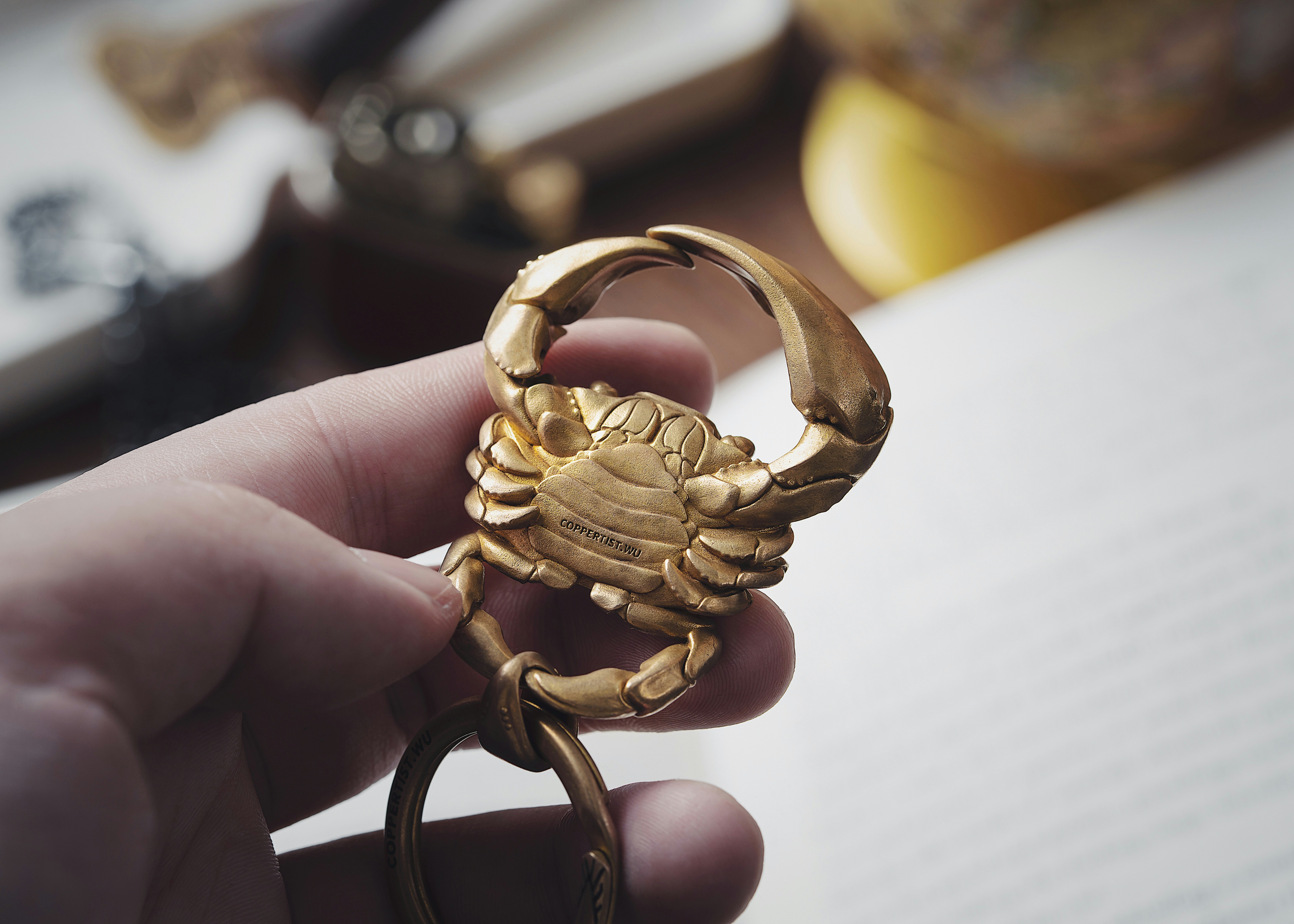 Photo by coppertistwu