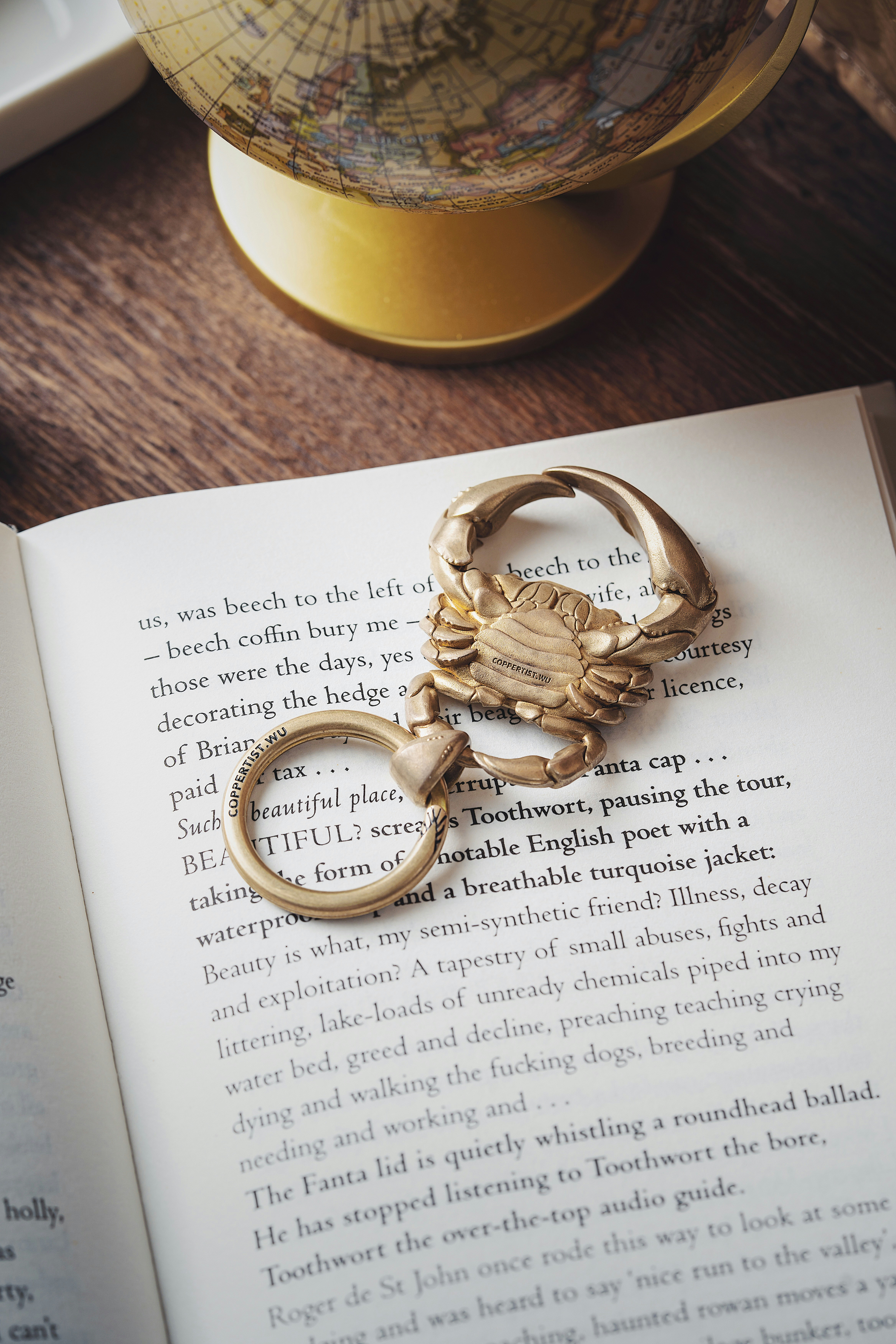 Photo by coppertistwu