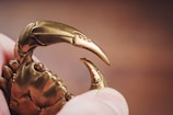 Close-up of a handcrafted metal sculpture with a polished finish.