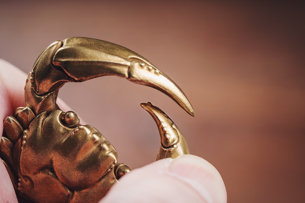 a person holding a gold crab ring in their hand