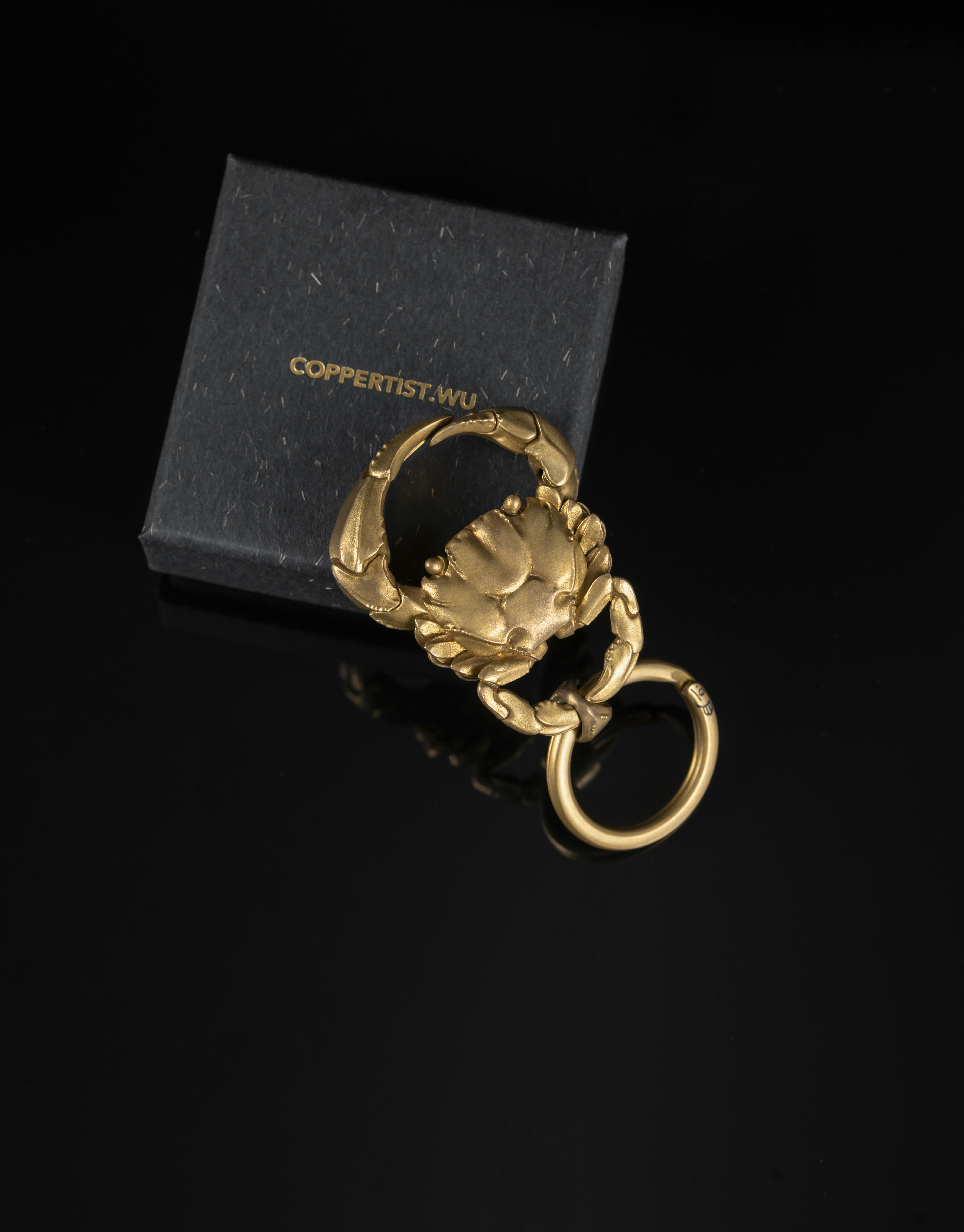 Photo by coppertistwu