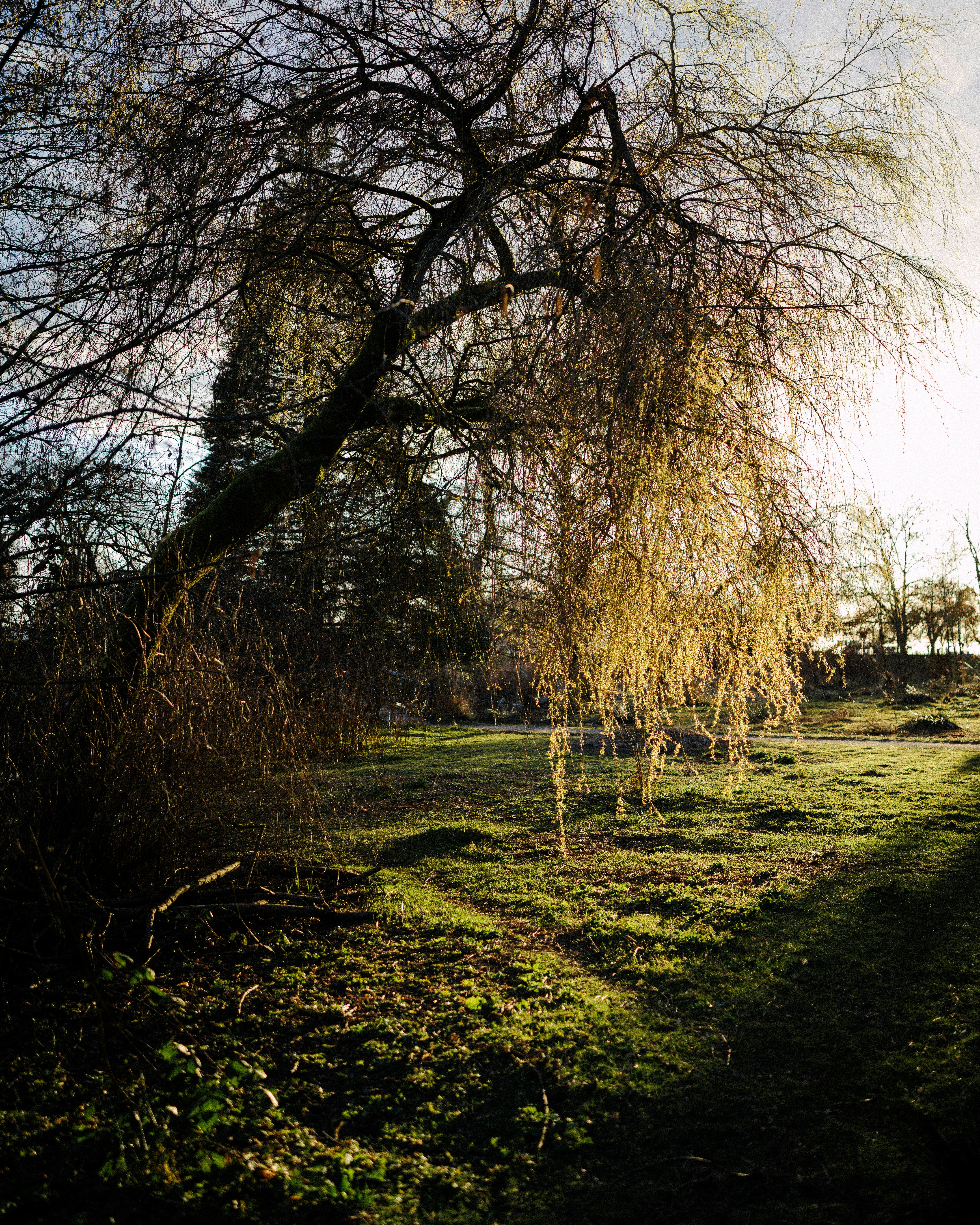 Photo by arianmontazeri