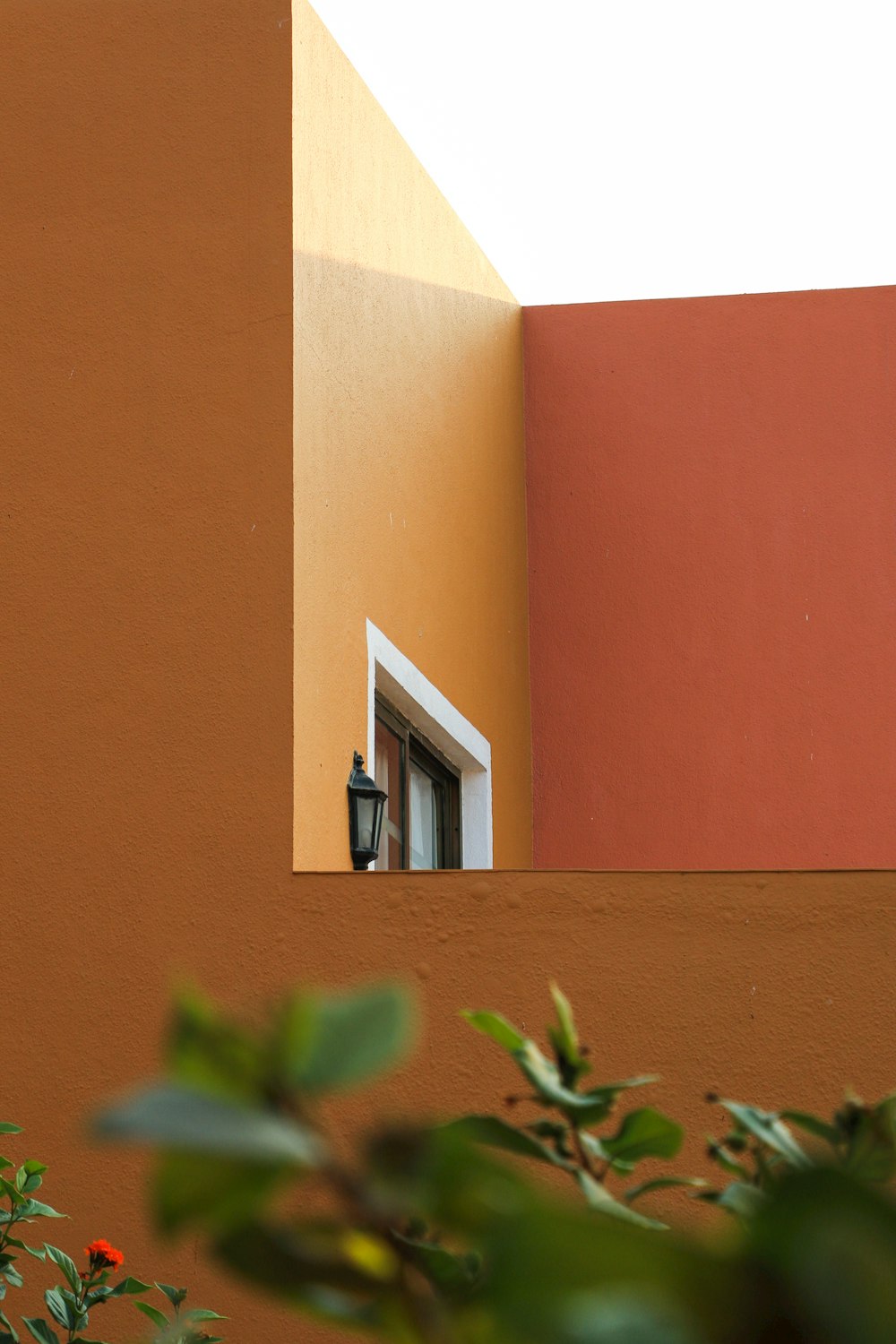 a building with a window and a plant in front of it