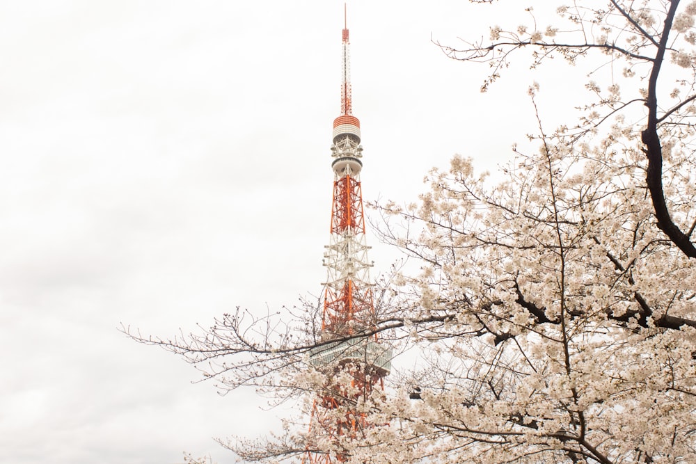 a tall tower with a clock on top of it