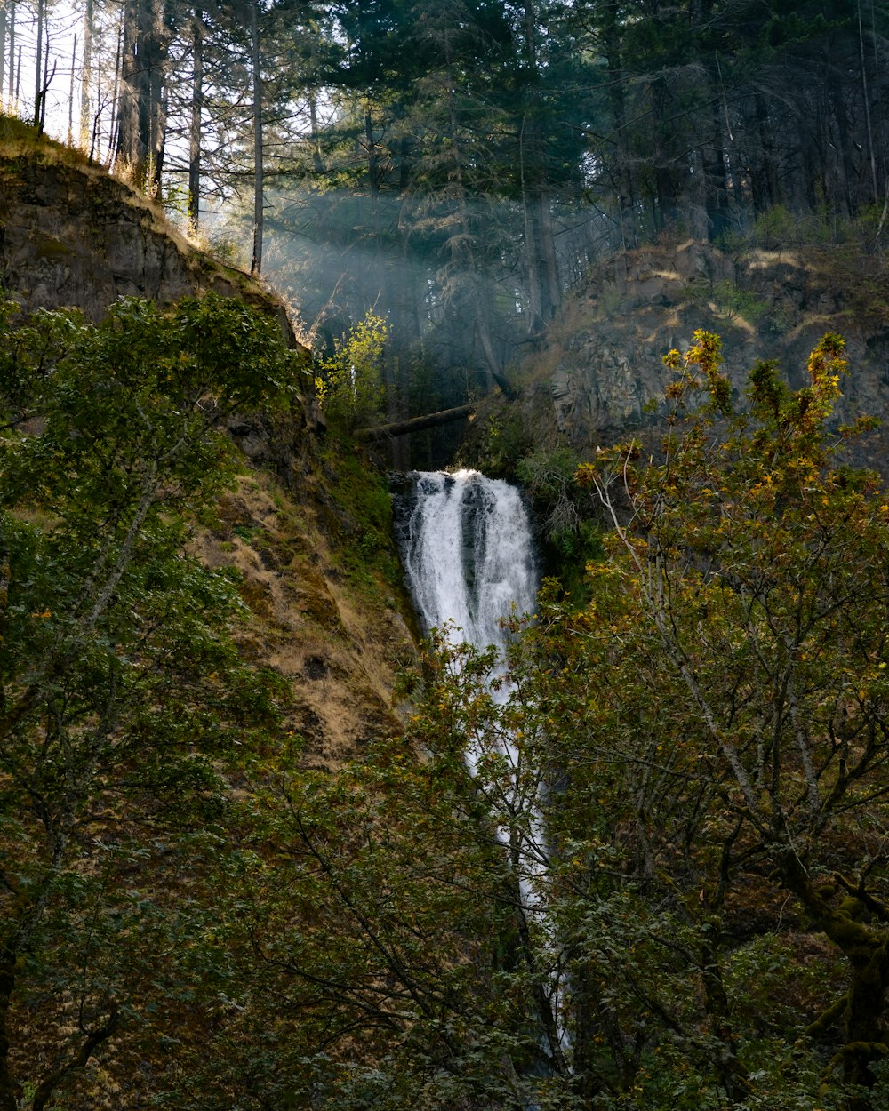 a waterfall in the middle of a forest