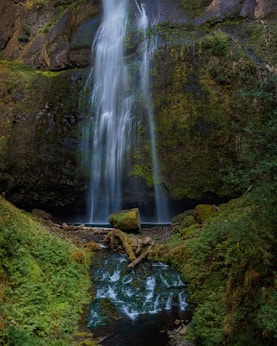 a small waterfall in the middle of a forest