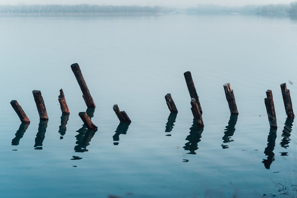 a body of water with a bunch of wooden posts sticking out of the water