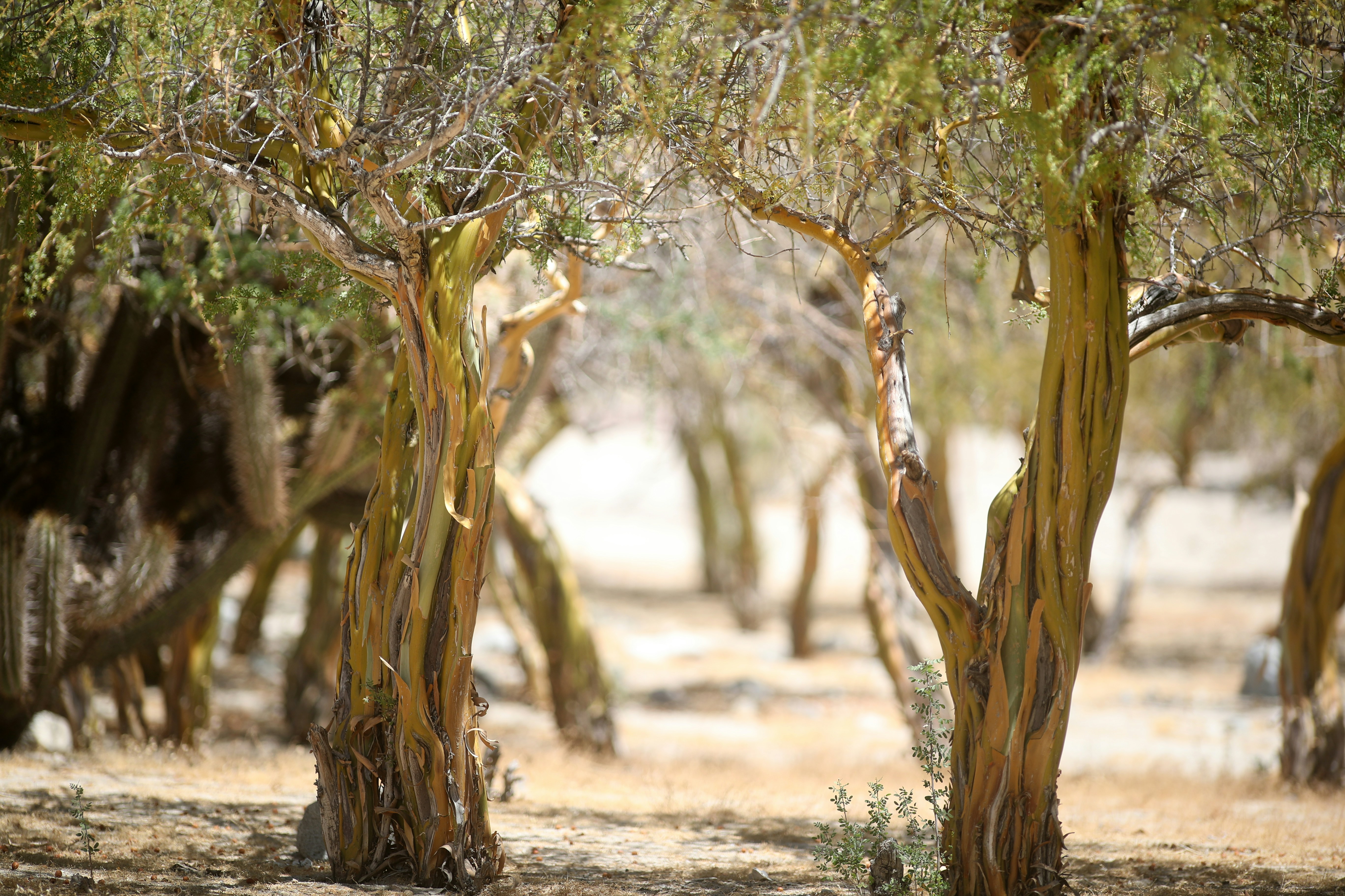 Photo by hernanfotosoficial