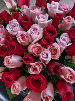 A vibrant bouquet of fresh-cut roses from Kenya, showcasing rich colors and lush petals.