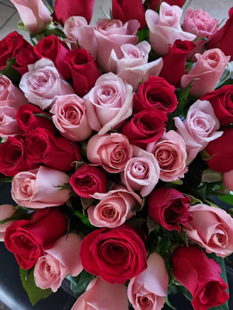 A vibrant bouquet of fresh roses in various shades of red and pink, artfully arranged.
