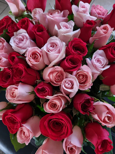 A vibrant bouquet of fresh roses in various shades of red and pink, artfully arranged.