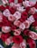 A bouquet of roses featuring a variety of red and pink blooms arranged closely together. The petals are lush and vibrant, and the green leaves add contrast to the rich colors.