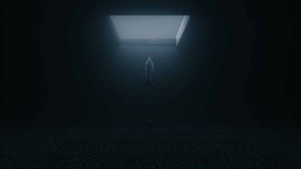 uma pessoa em pé em um quarto escuro com uma claraboia