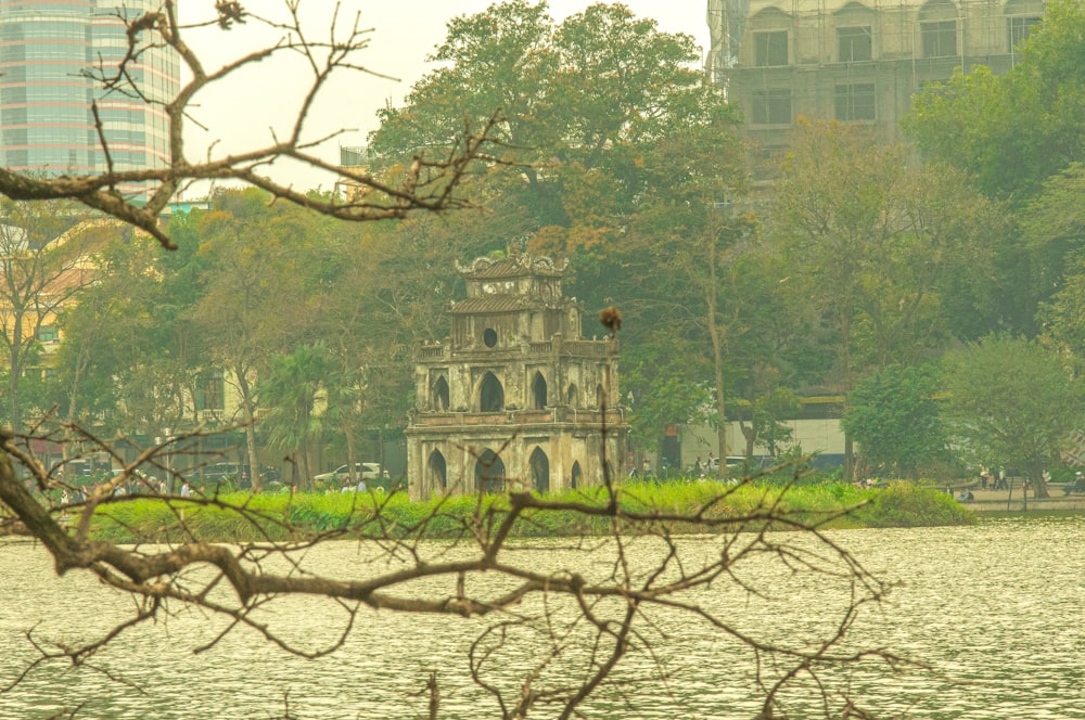 a bird is sitting on a tree branch near the water